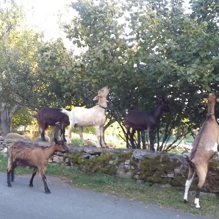 Au Bon Accueil 아파트 Bonnac (Cantal)